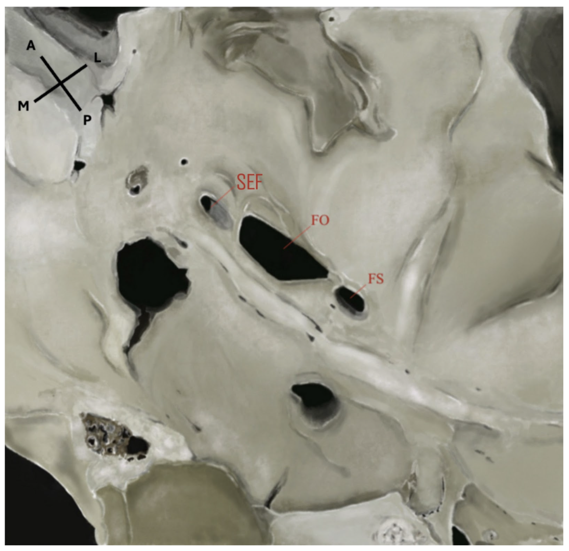 Diagnostics 15 02800 g002