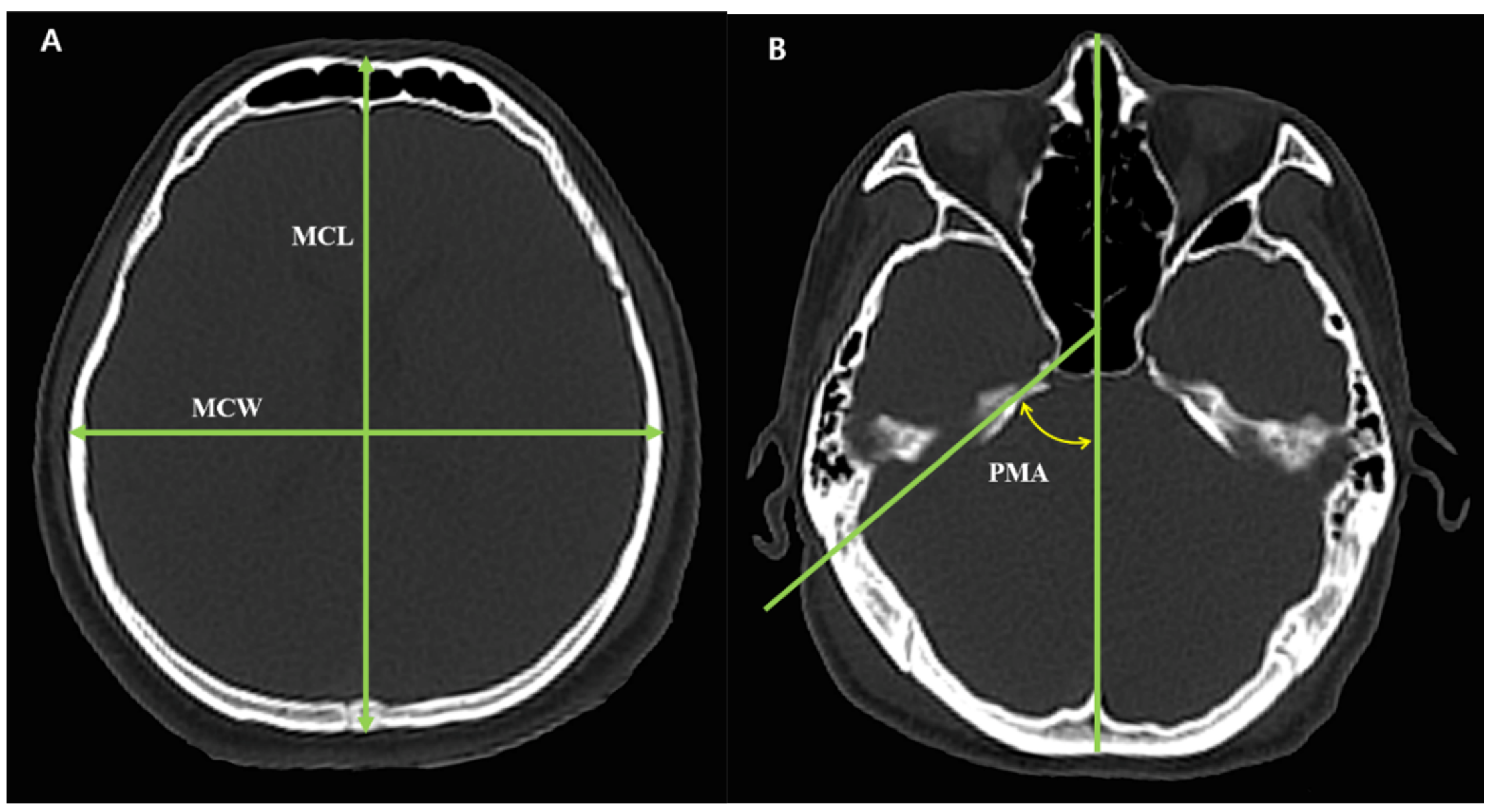 Diagnostics 15 02802 g002