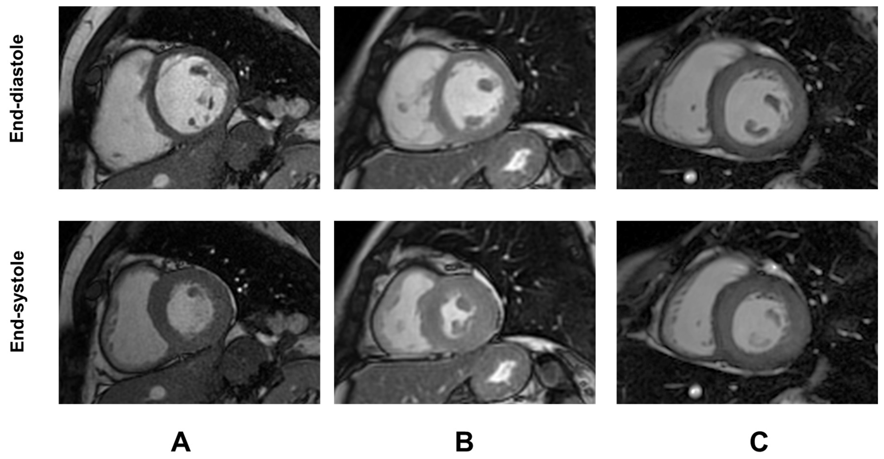 Diagnostics 15 02805 g001