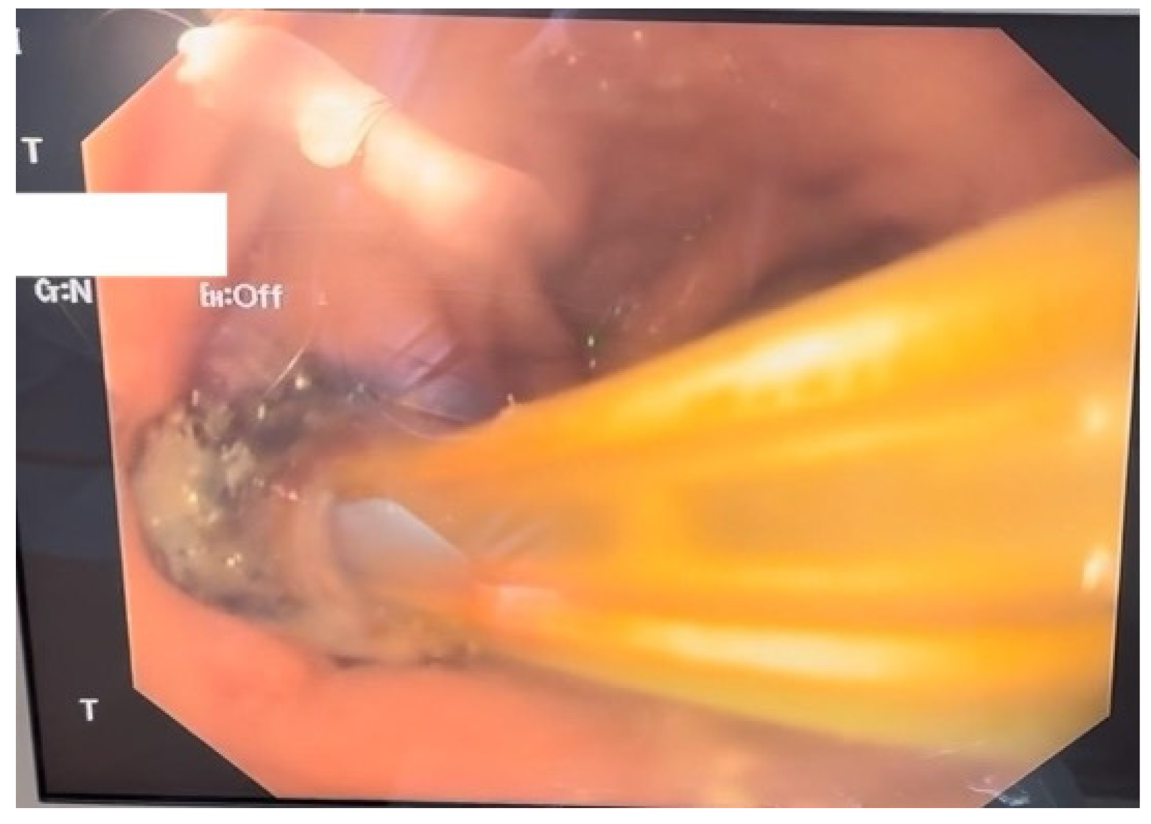 Diagnostics 15 02811 g002