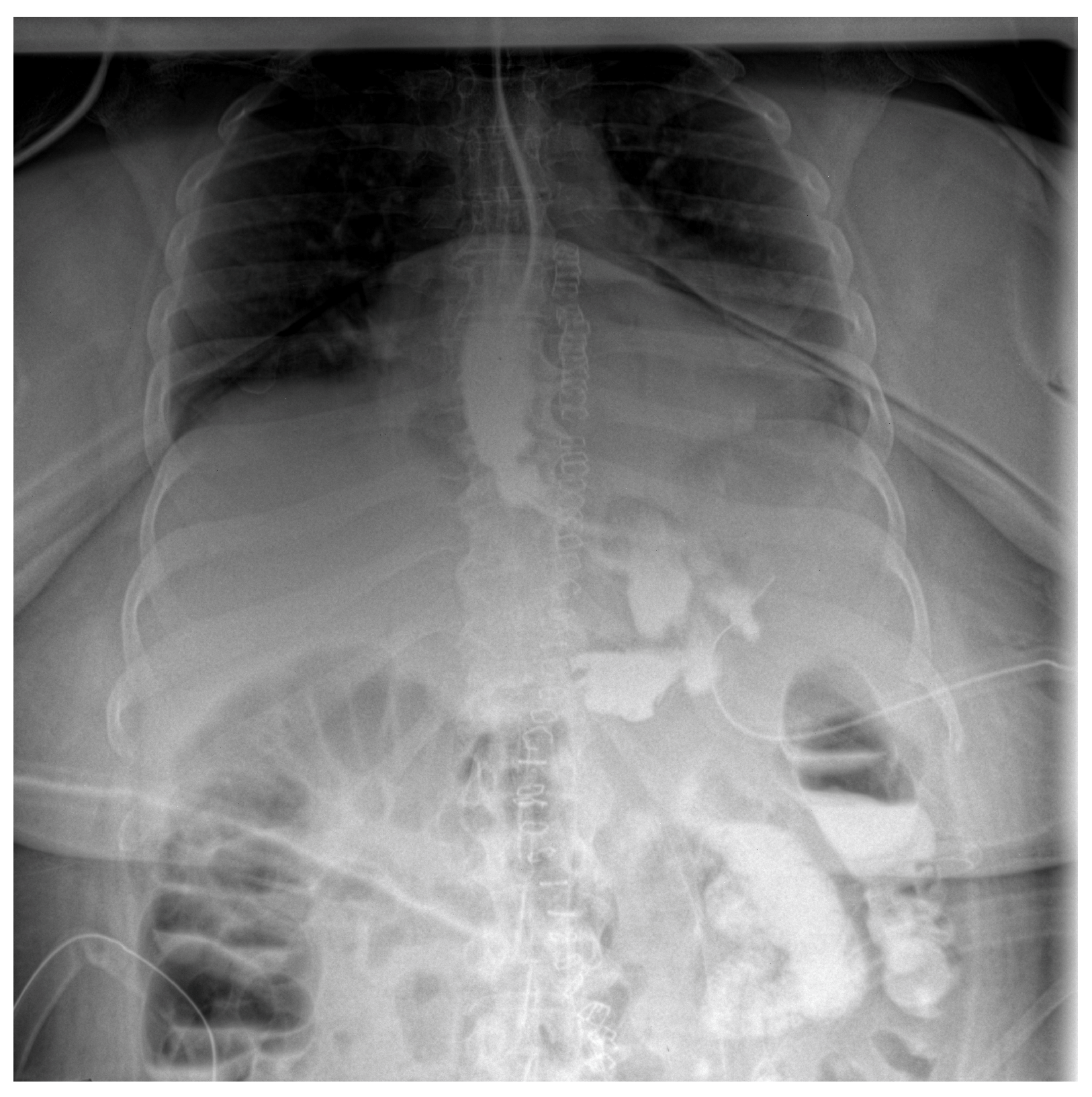 Diagnostics 15 02811 g003