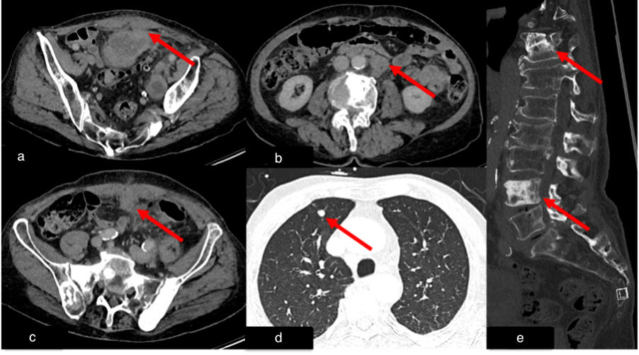 Diagnostics 15 02832 g006