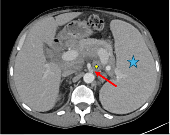 Diagnostics 15 02832 g007