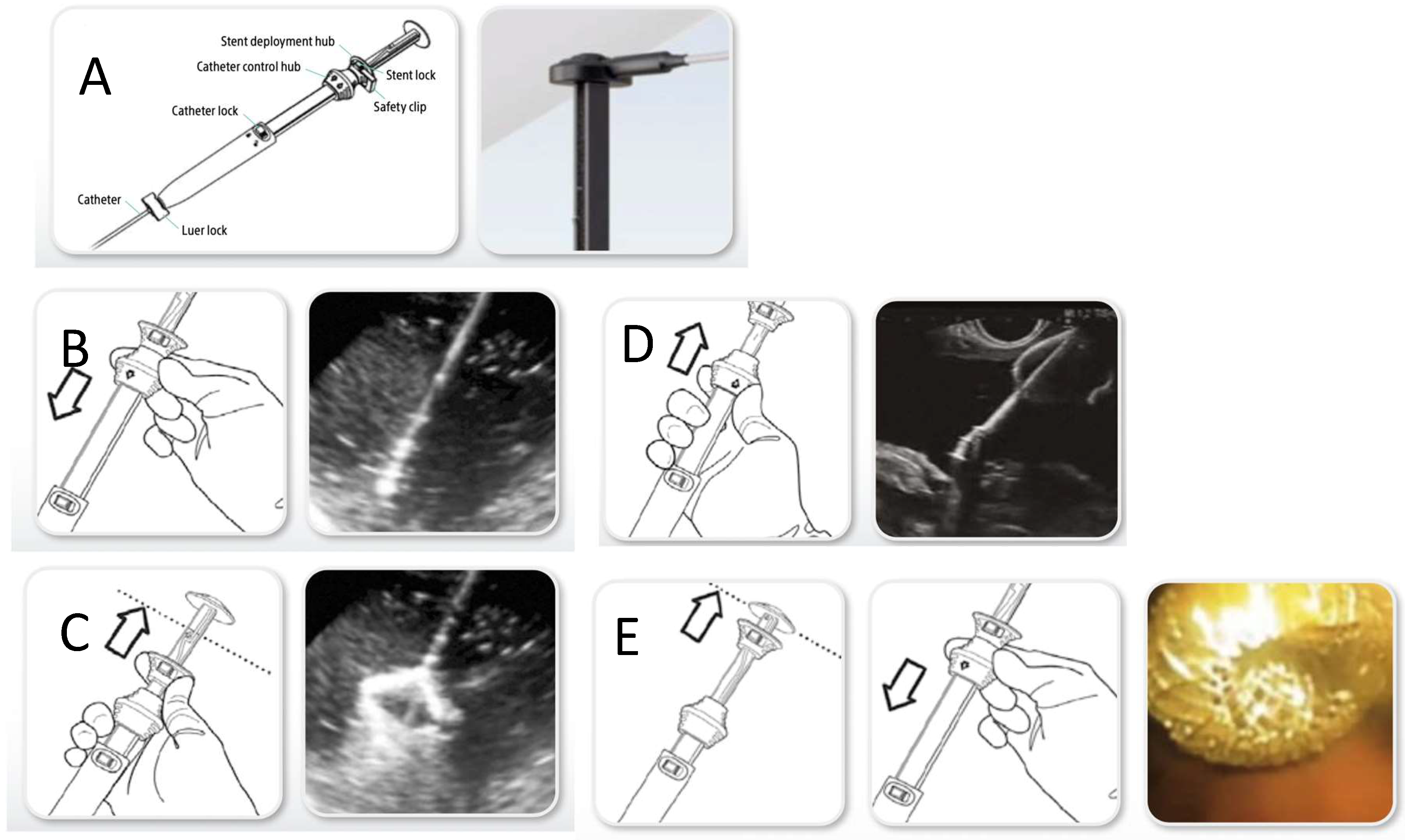 Diagnostics 15 02835 g001