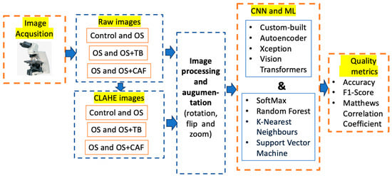Diagnostics 15 02859 g001