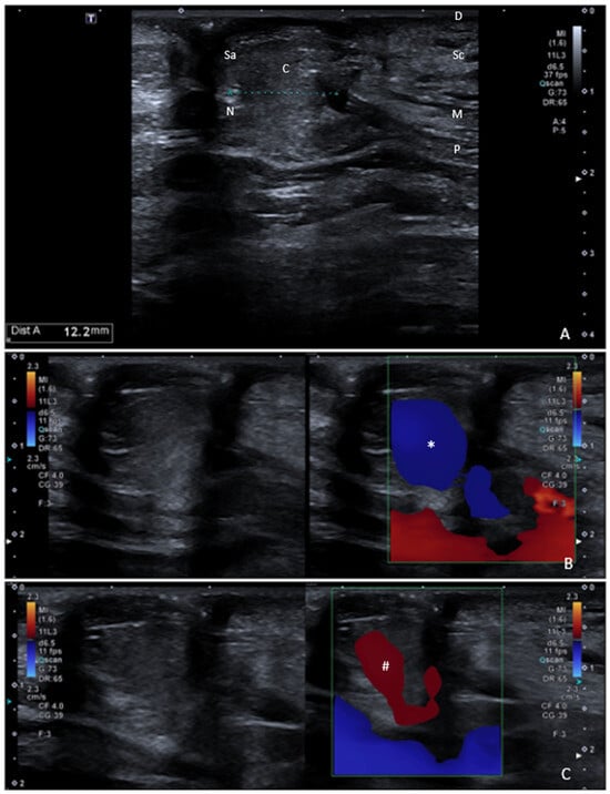 Diagnostics 15 02863 g001