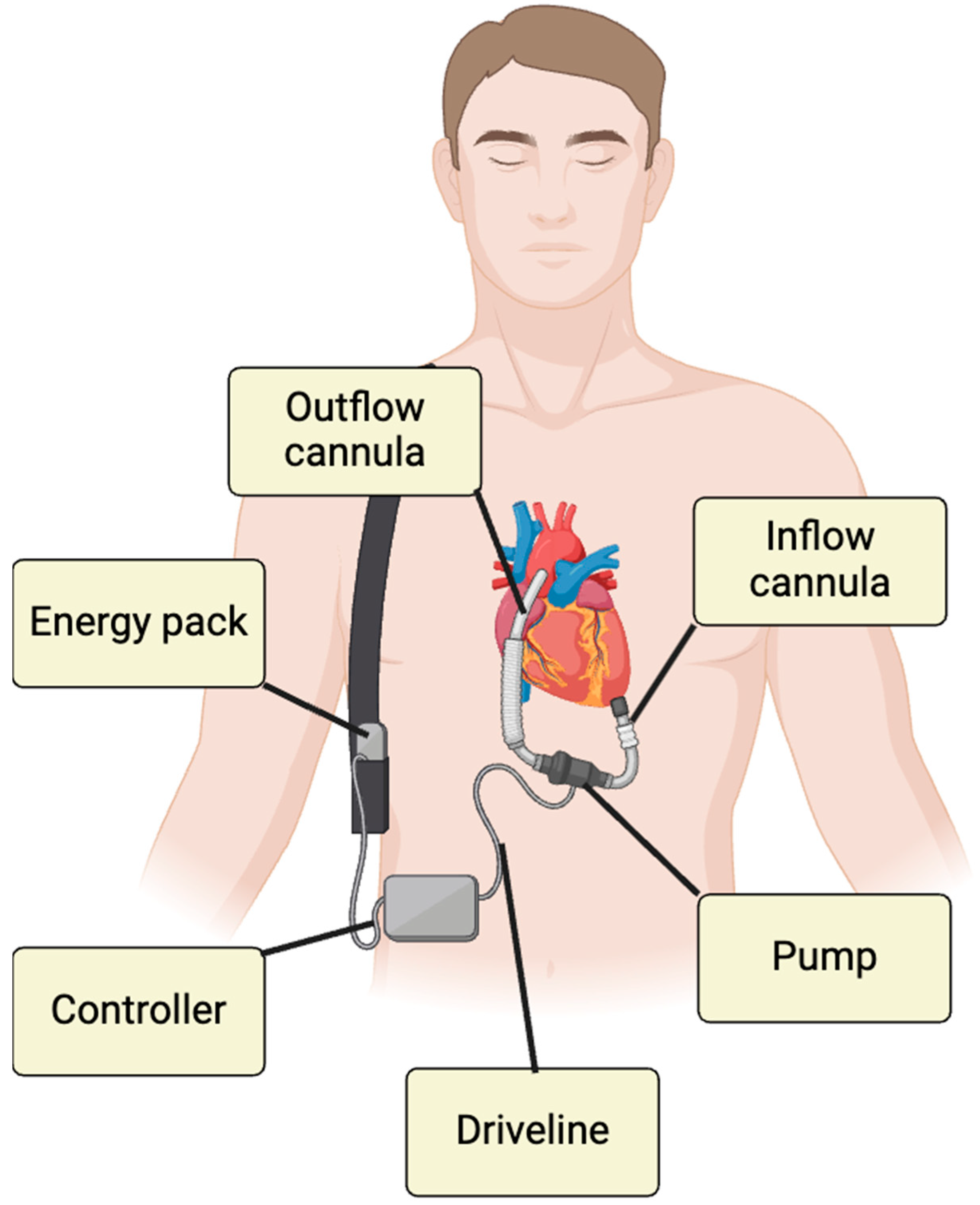Diagnostics 15 02886 g001