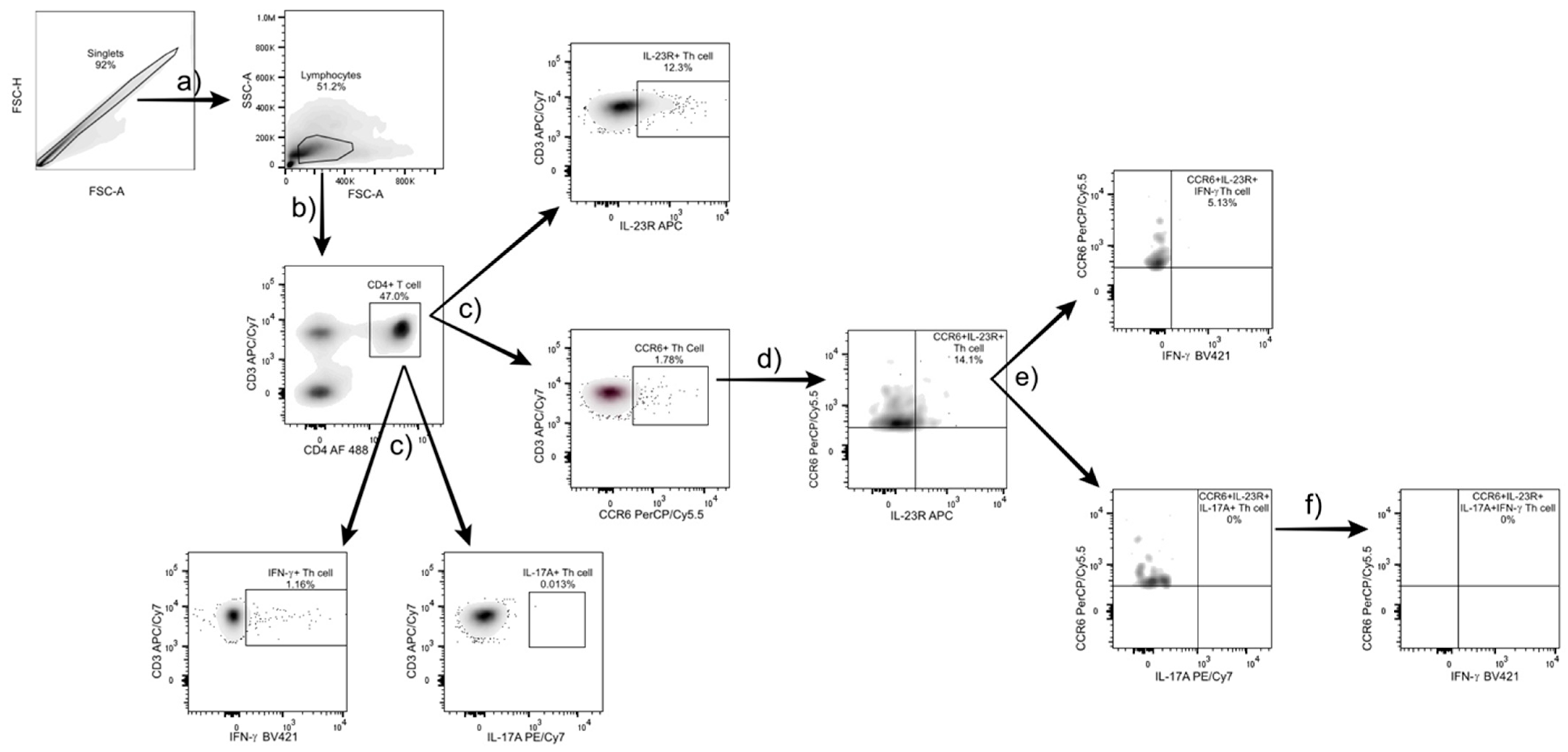 Diagnostics 15 02909 g001