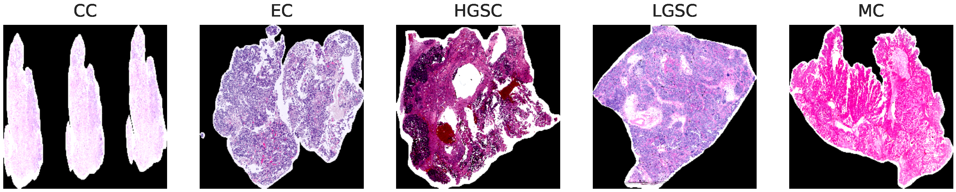 Diagnostics 15 02954 g001