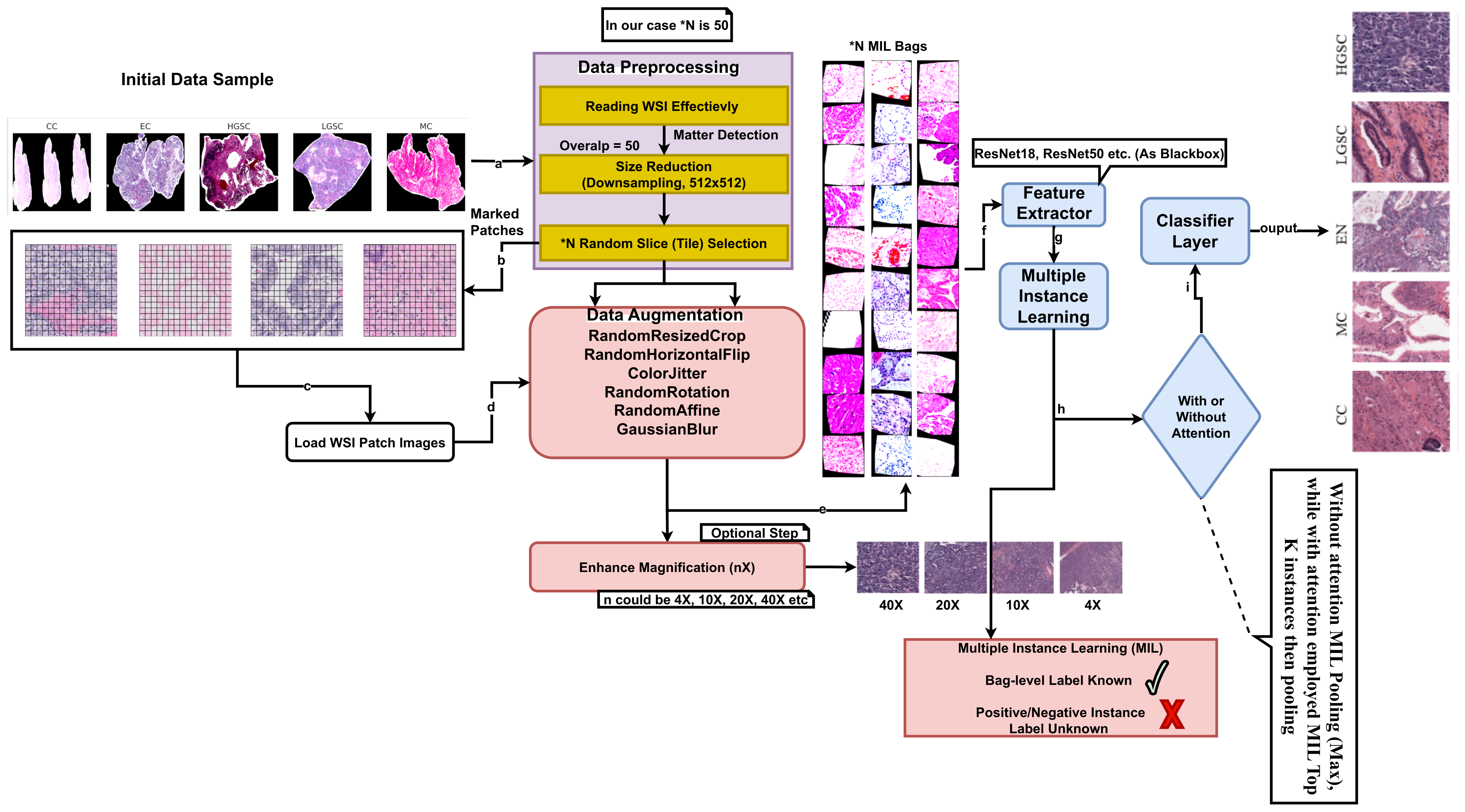 Diagnostics 15 02954 g003