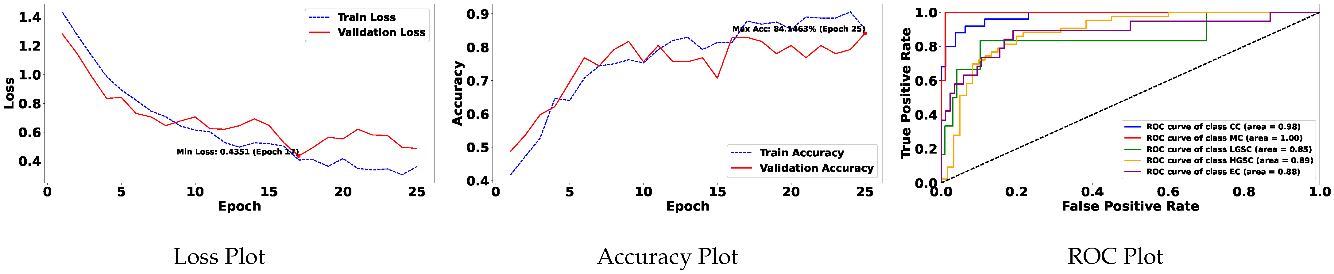 Diagnostics 15 02954 g005
