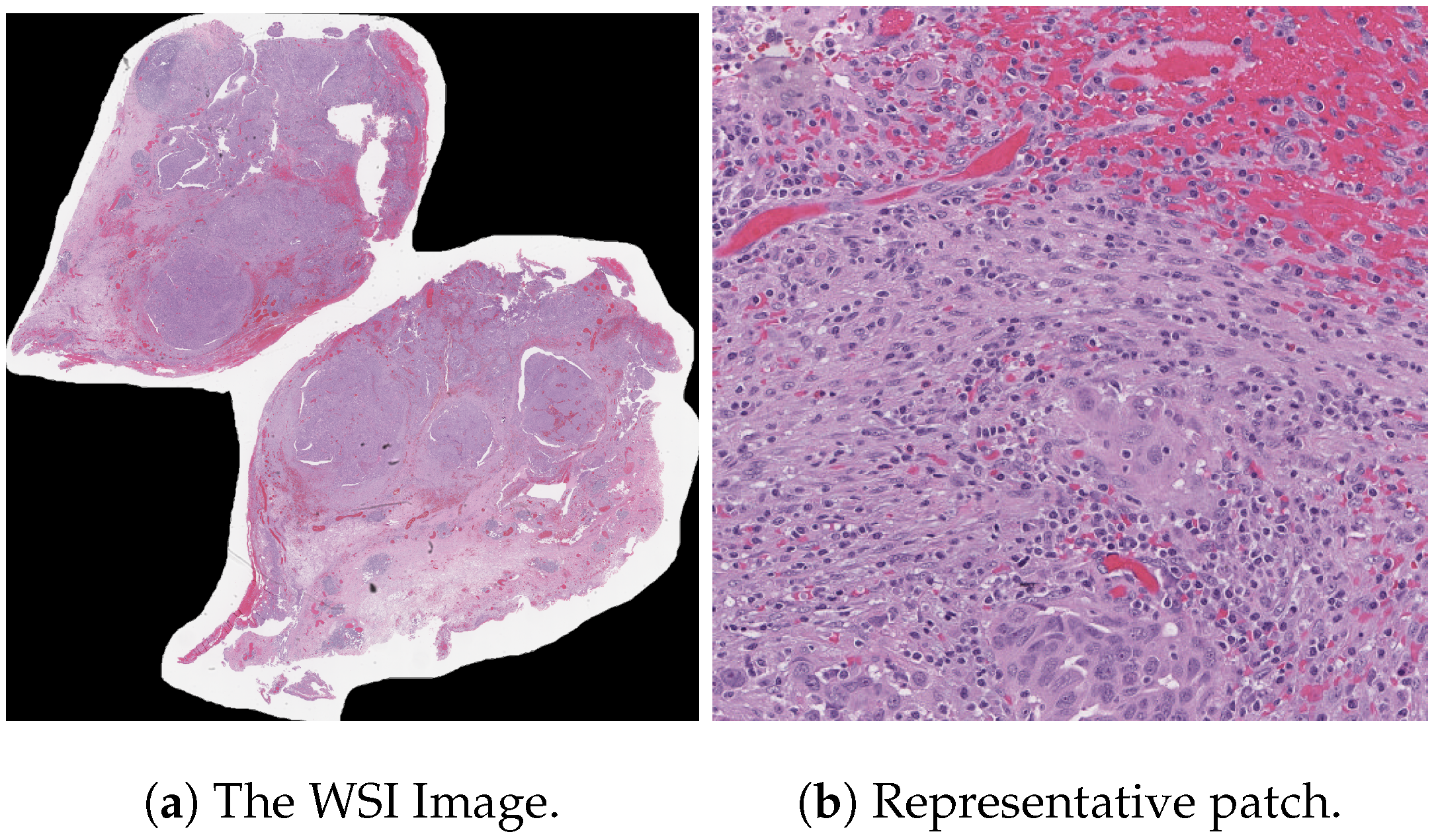 Diagnostics 15 02954 g006
