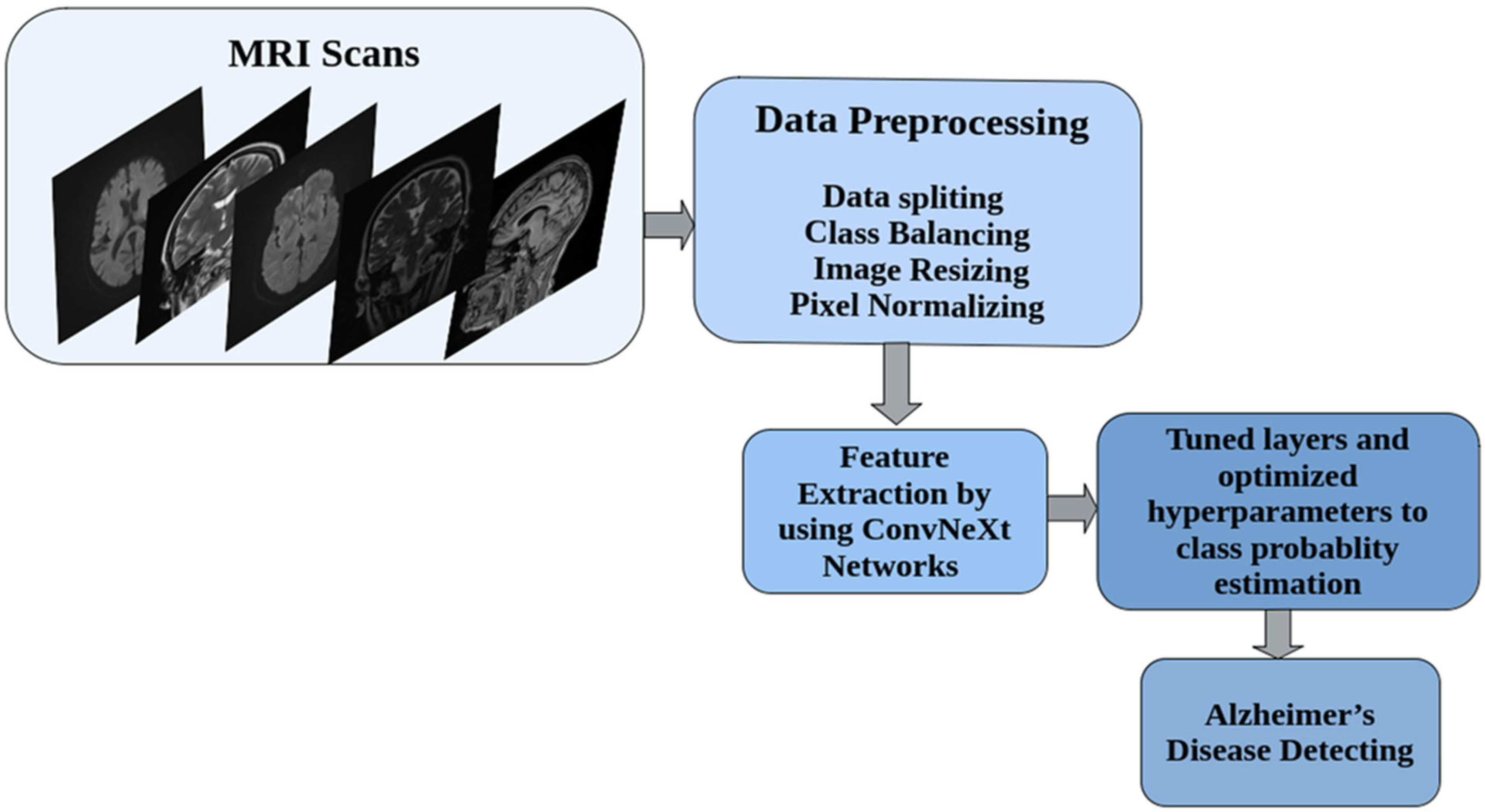 Diagnostics 15 02997 g002