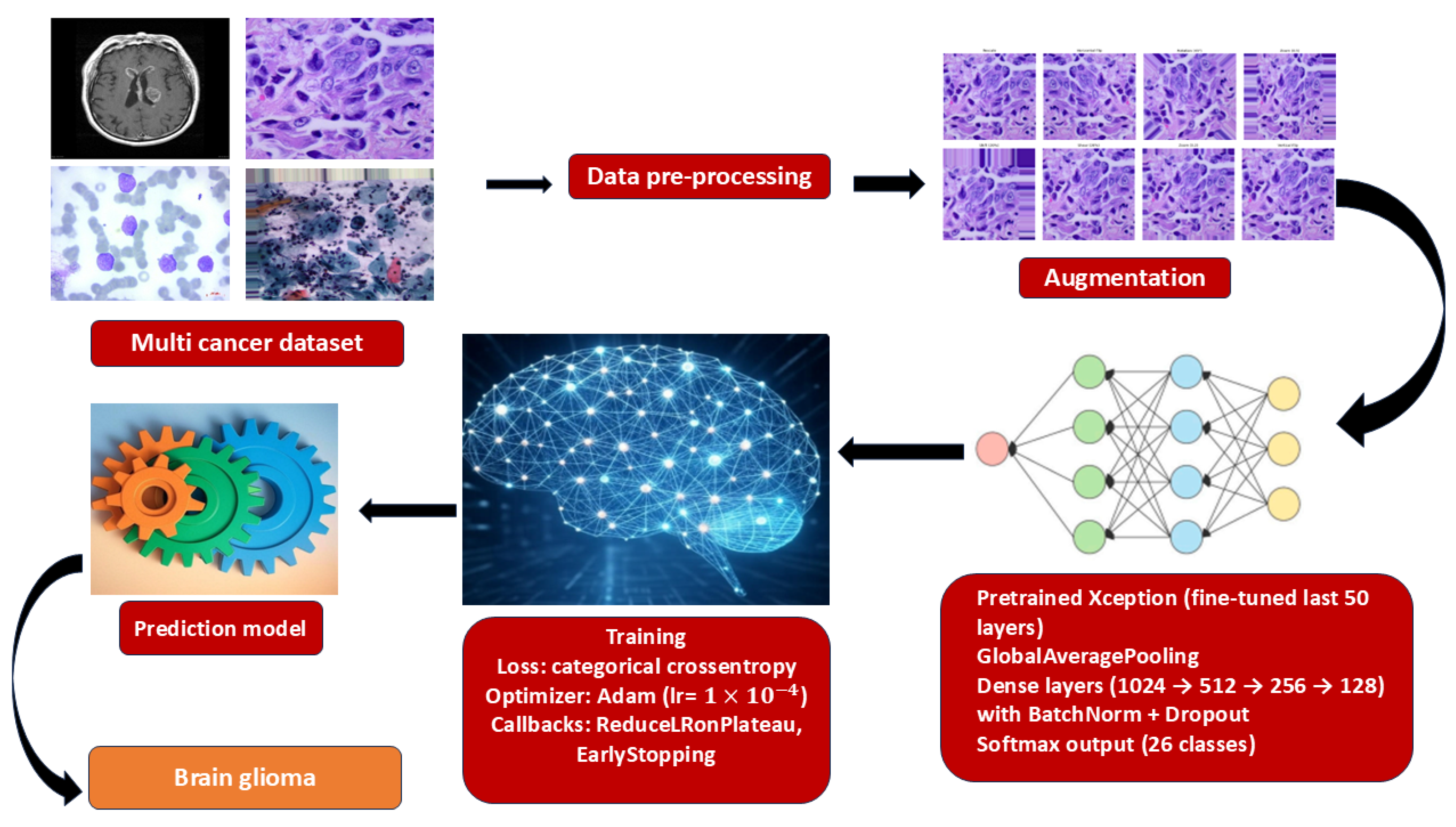 Diagnostics 15 03066 g002