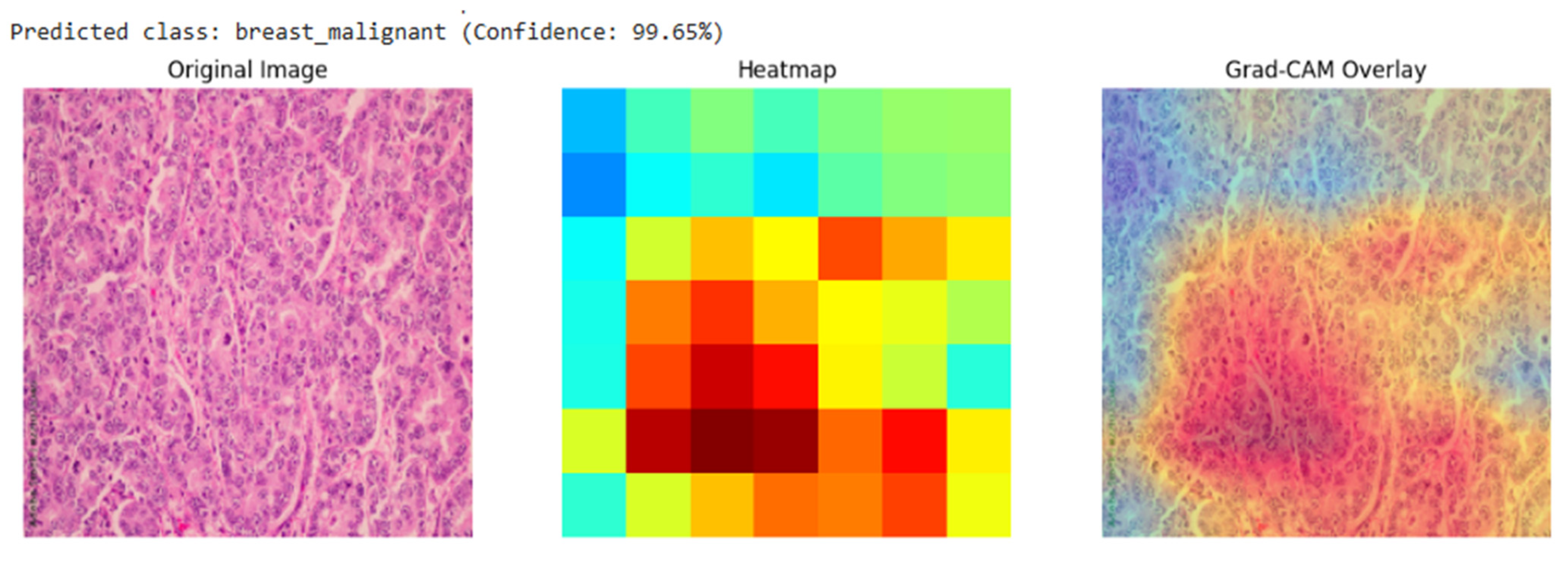 Diagnostics 15 03066 g006