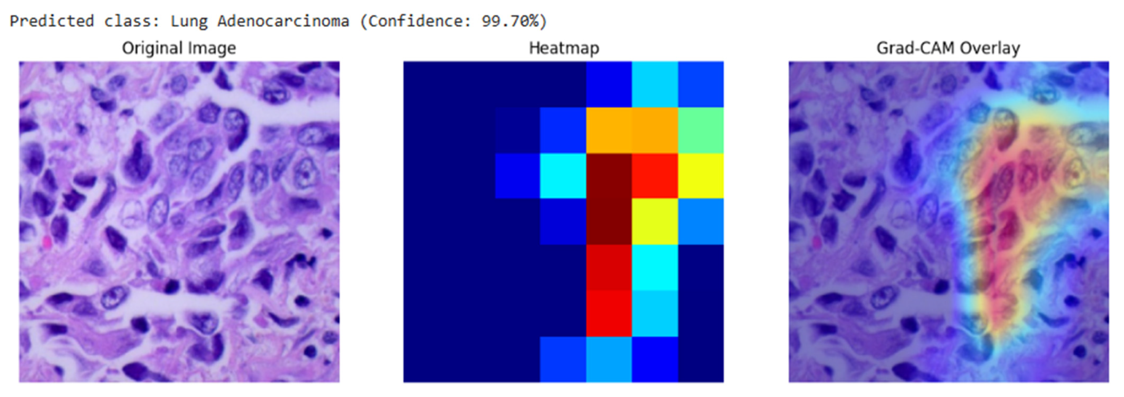 Diagnostics 15 03066 g007