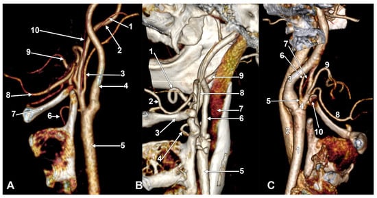 Diagnostics 15 03106 g003