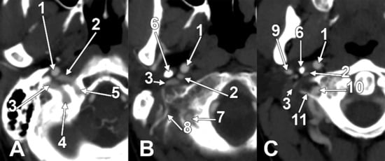 Diagnostics 15 03106 g007