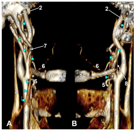 Diagnostics 15 03106 g008