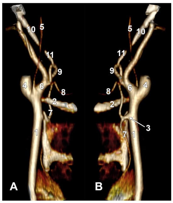 Diagnostics 15 03106 g009