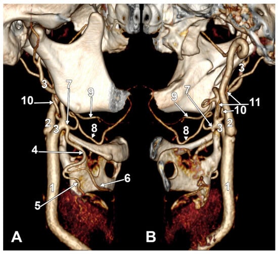 Diagnostics 15 03106 g010