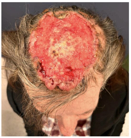 Diagnostics 15 03114 g001