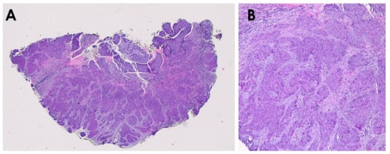 Diagnostics 15 03114 g002