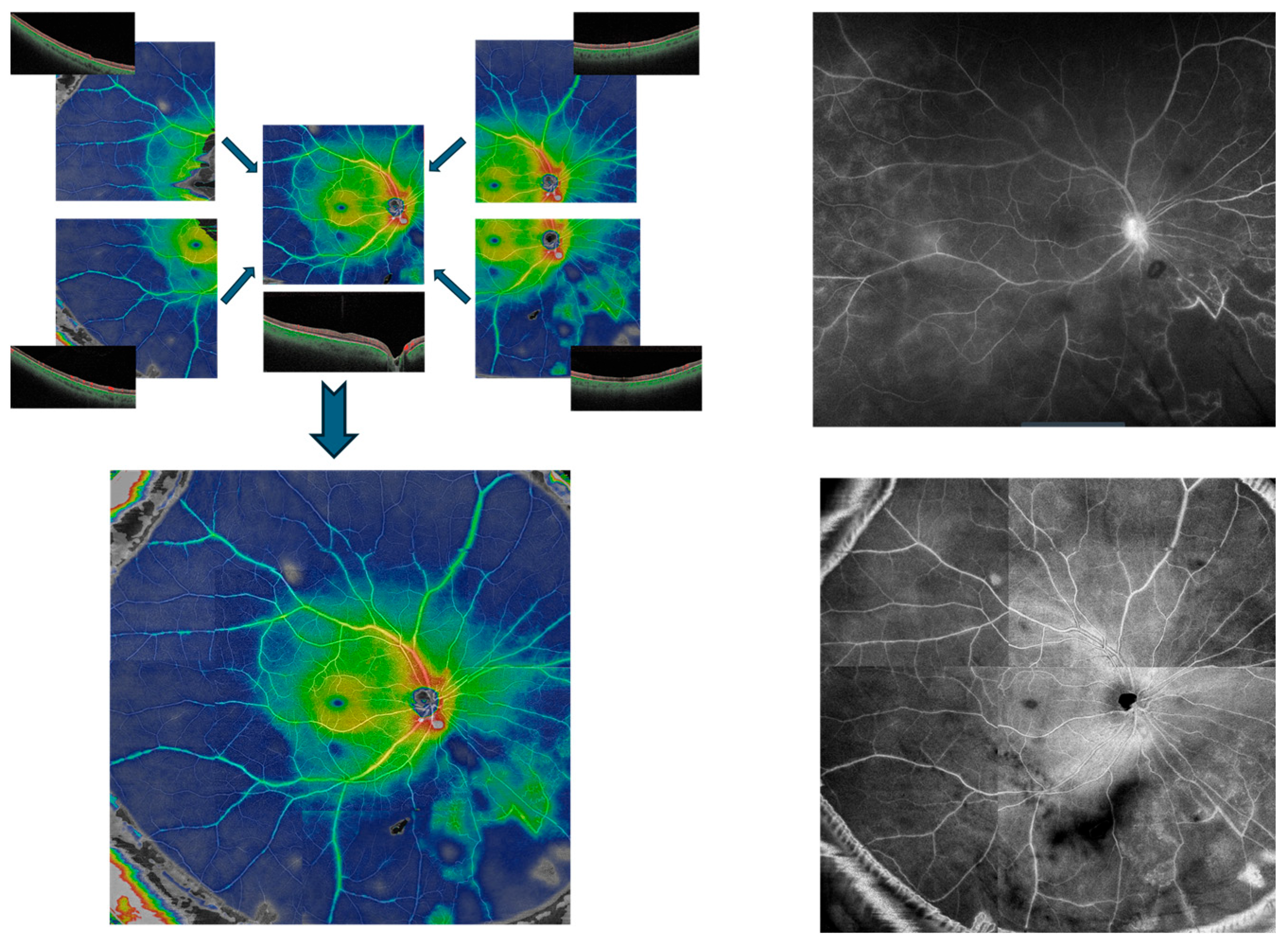 Diagnostics 15 03129 g001