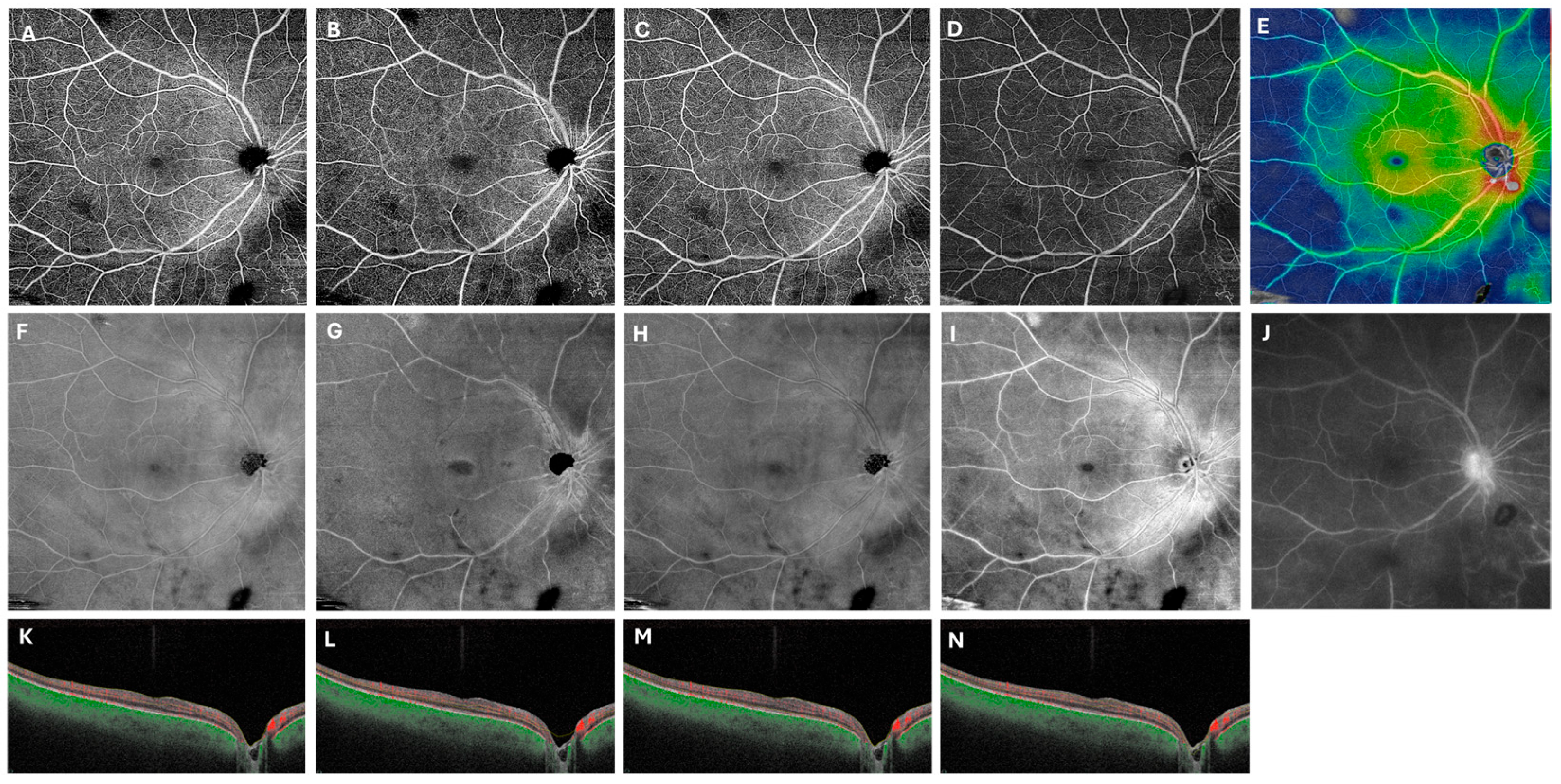 Diagnostics 15 03129 g002