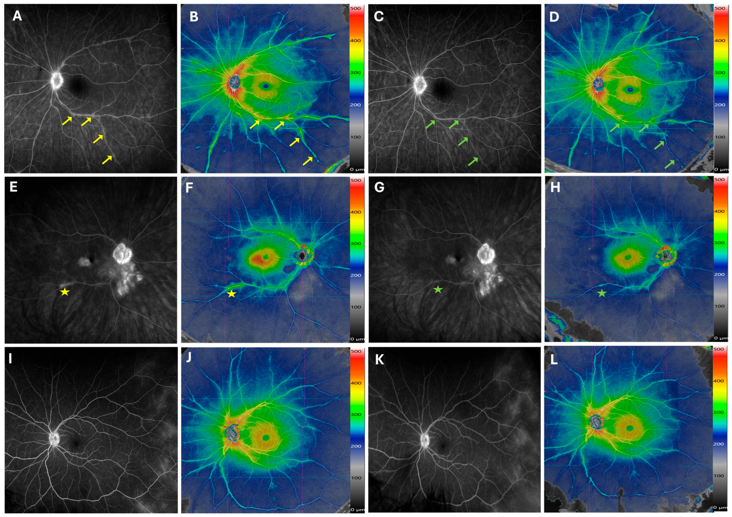 Diagnostics 15 03129 g004