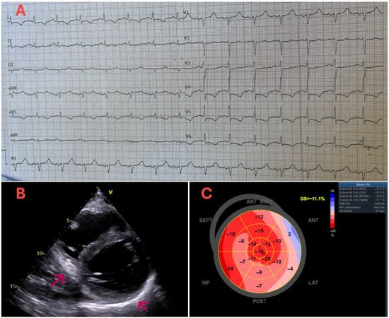 Diagnostics 15 03136 g001