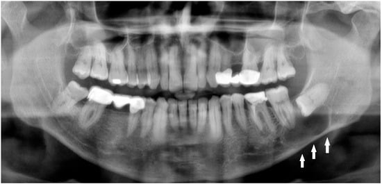 Diagnostics 15 03140 g001