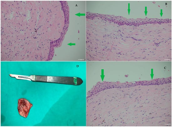 Diagnostics 15 03140 g003