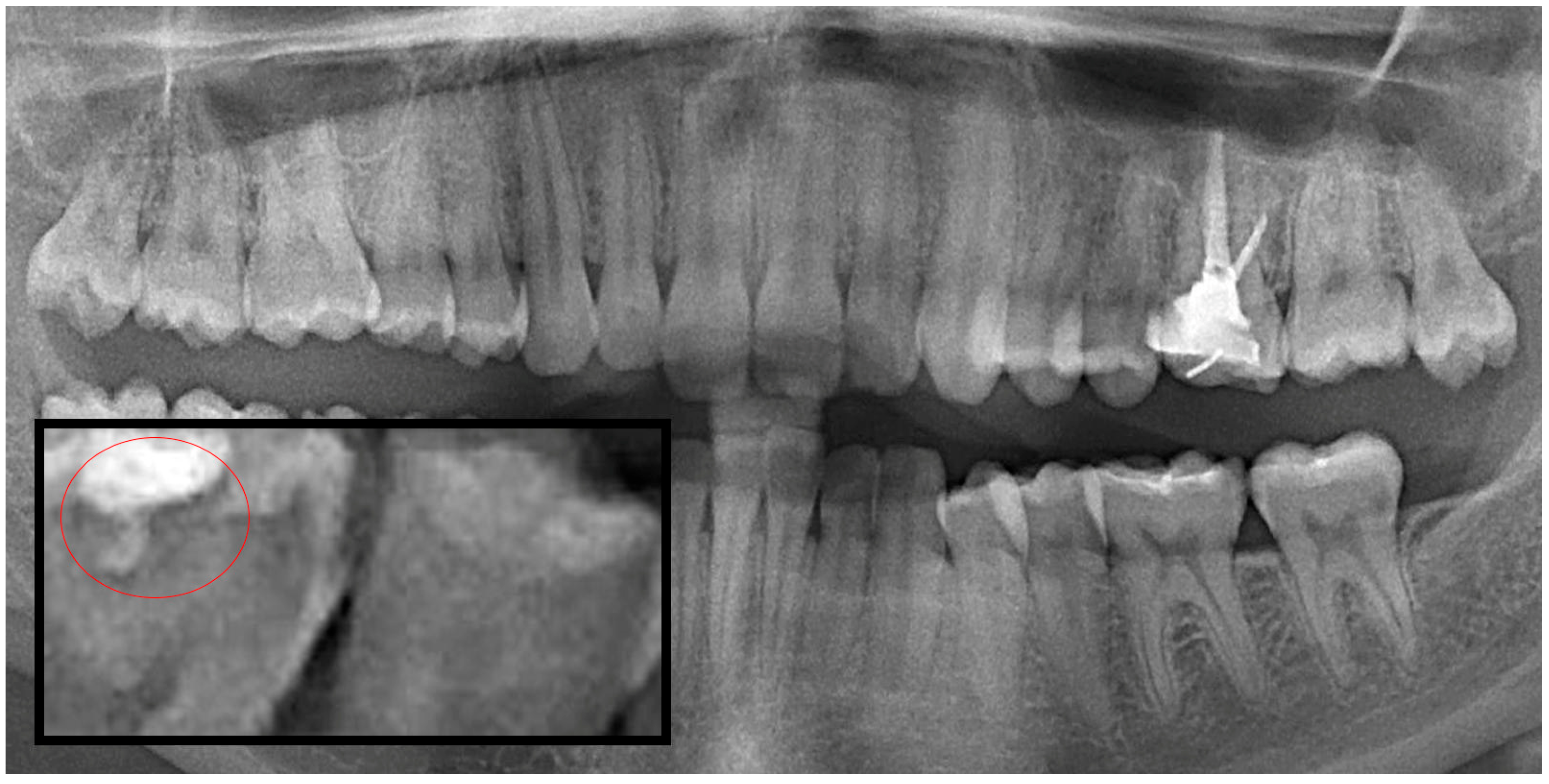 Diagnostics 15 03167 g003