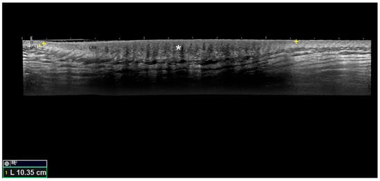 Diagnostics 15 03168 g001