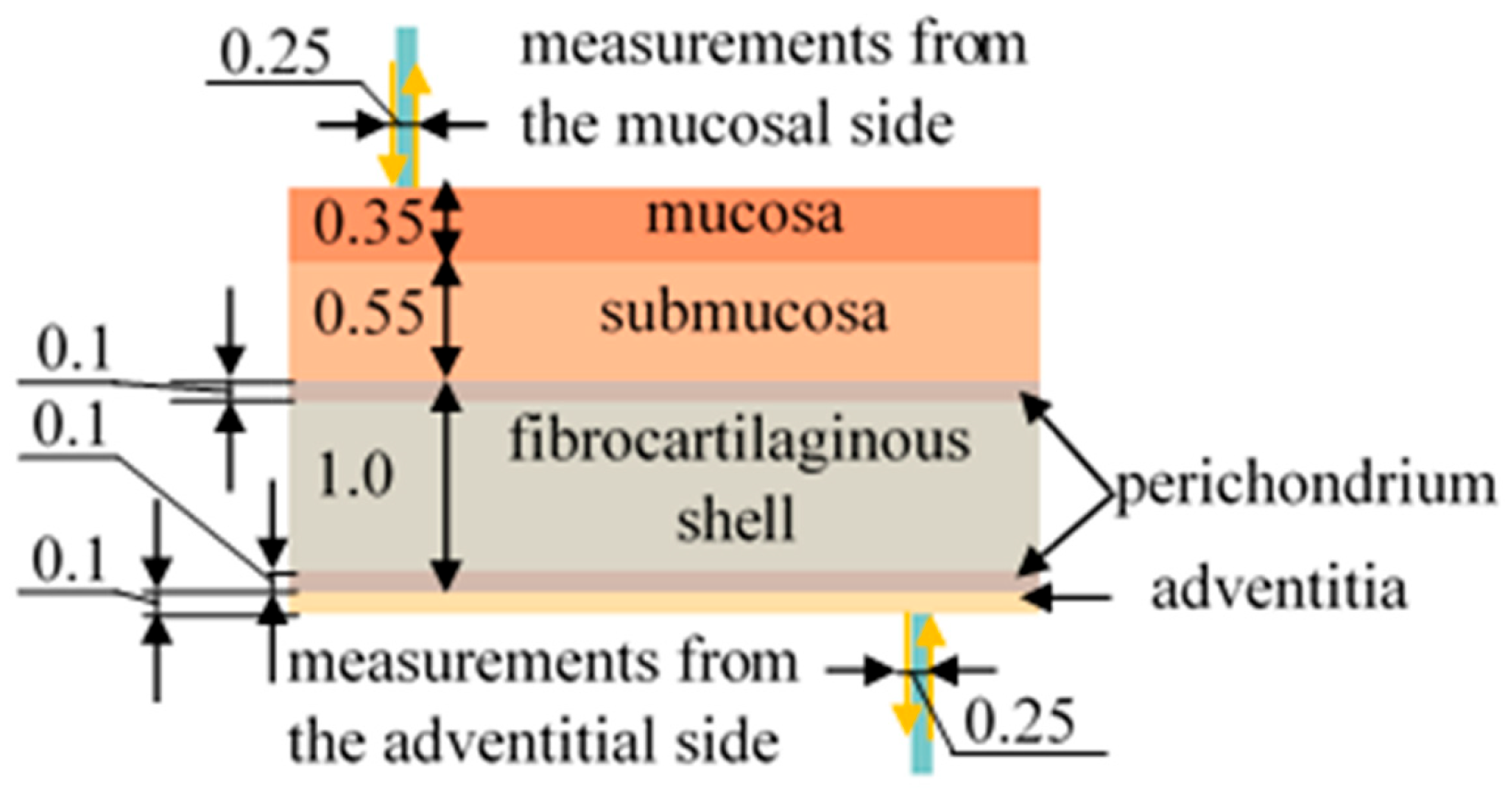 Diagnostics 15 03170 g001