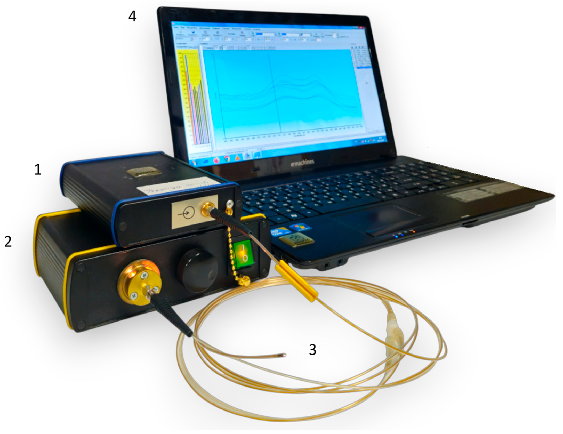 Diagnostics 15 03170 g002