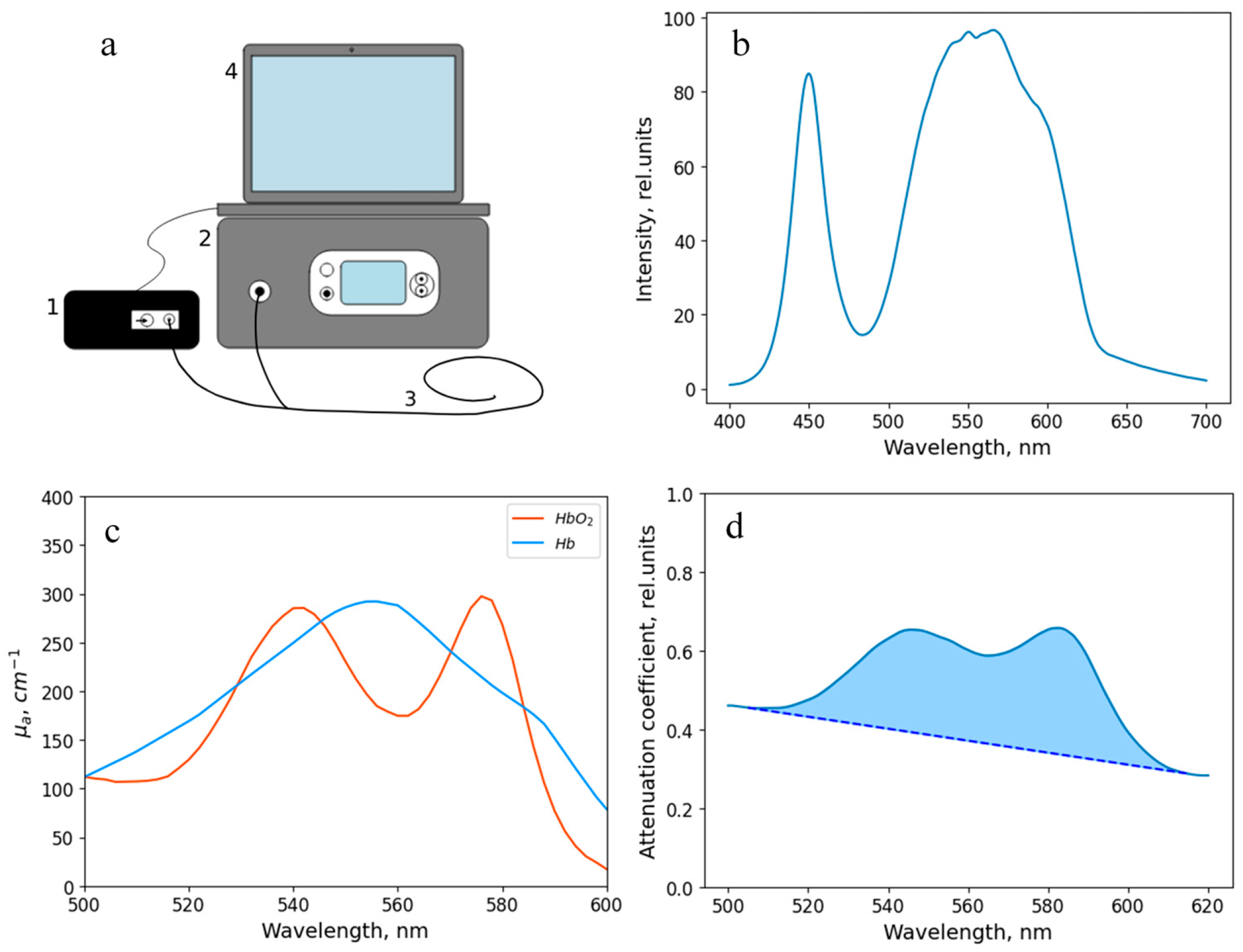 Diagnostics 15 03170 g003