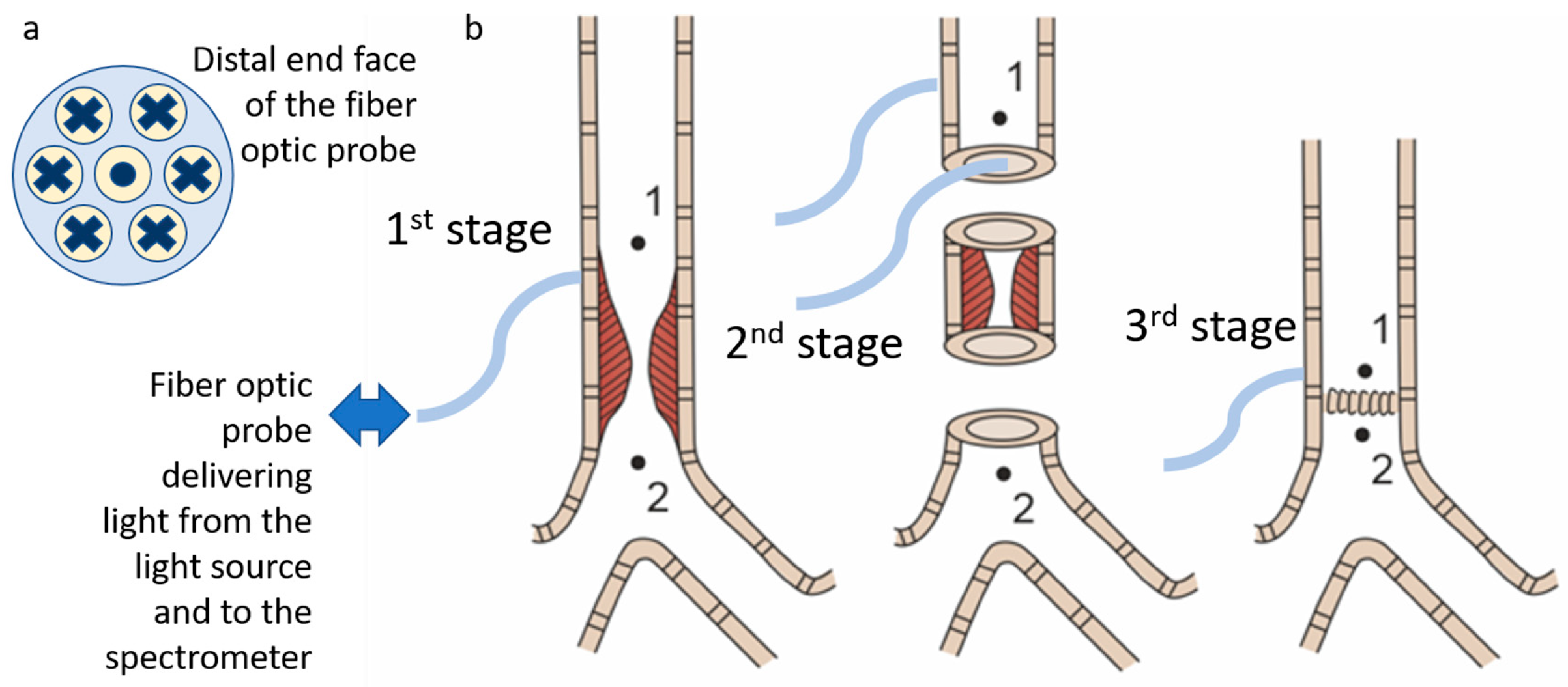 Diagnostics 15 03170 g004