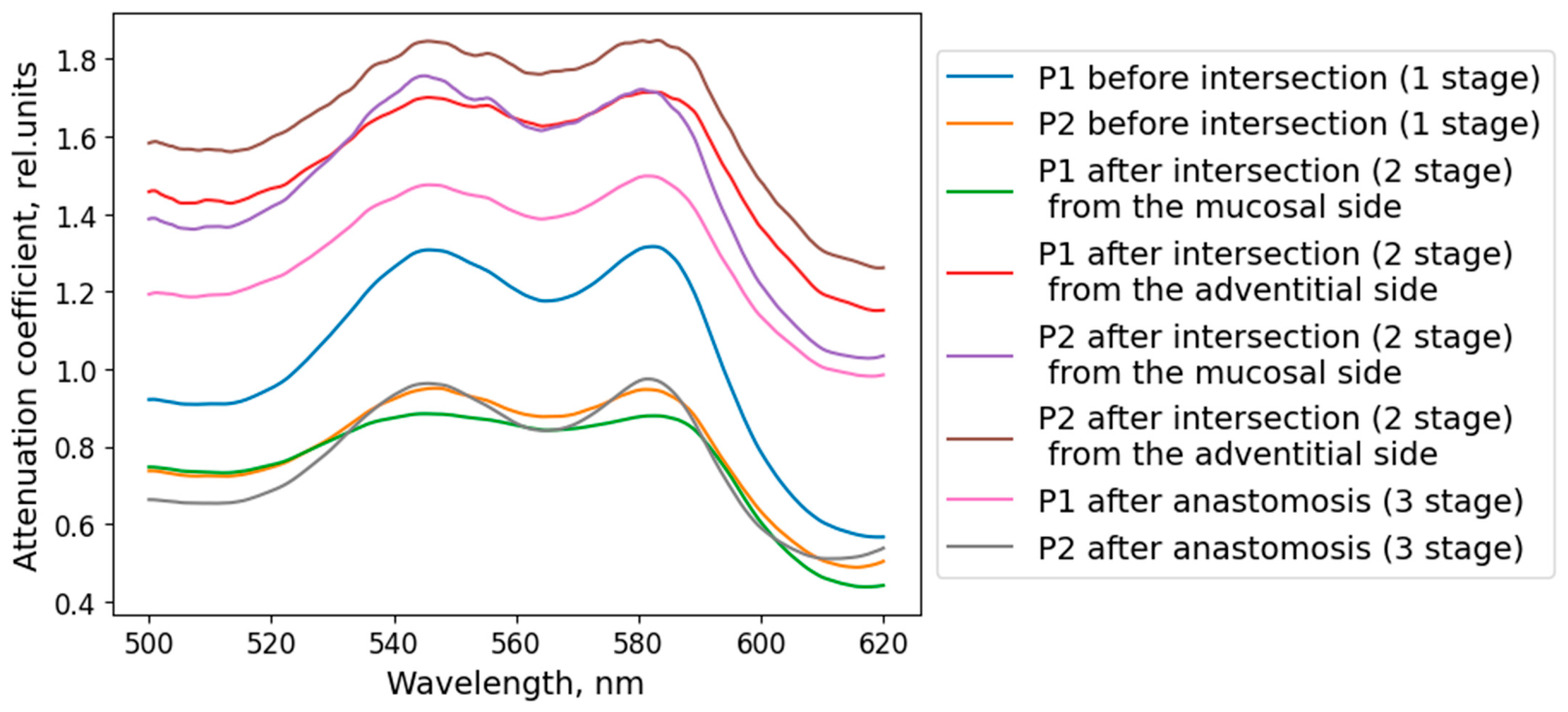 Diagnostics 15 03170 g010