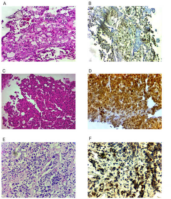 Diagnostics 15 03172 g002
