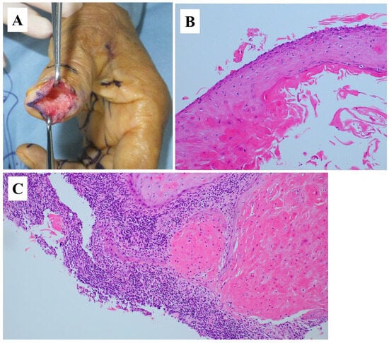 Diagnostics 15 03173 g003
