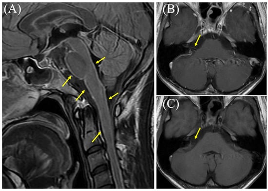 Diagnostics 15 03179 g001