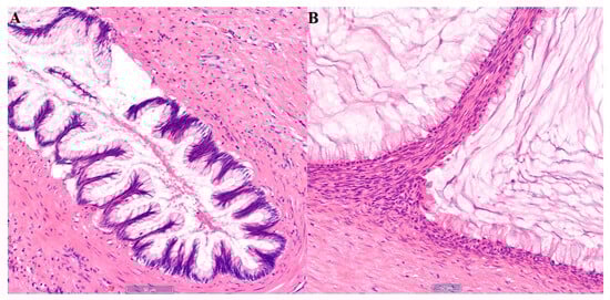 Diagnostics 15 03198 g002