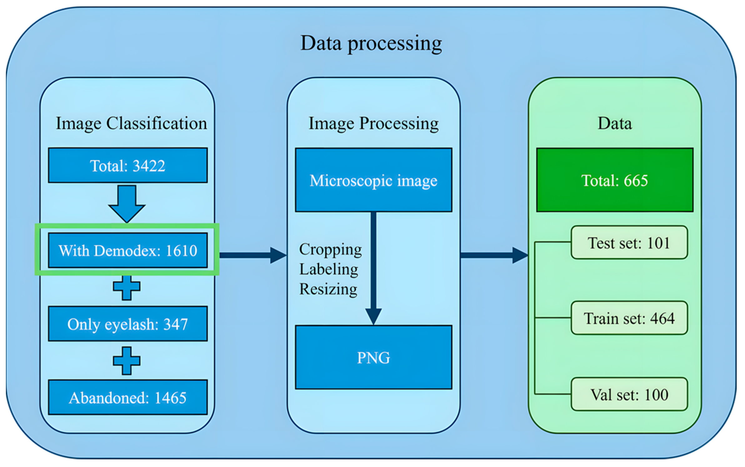 Diagnostics 15 03204 g003