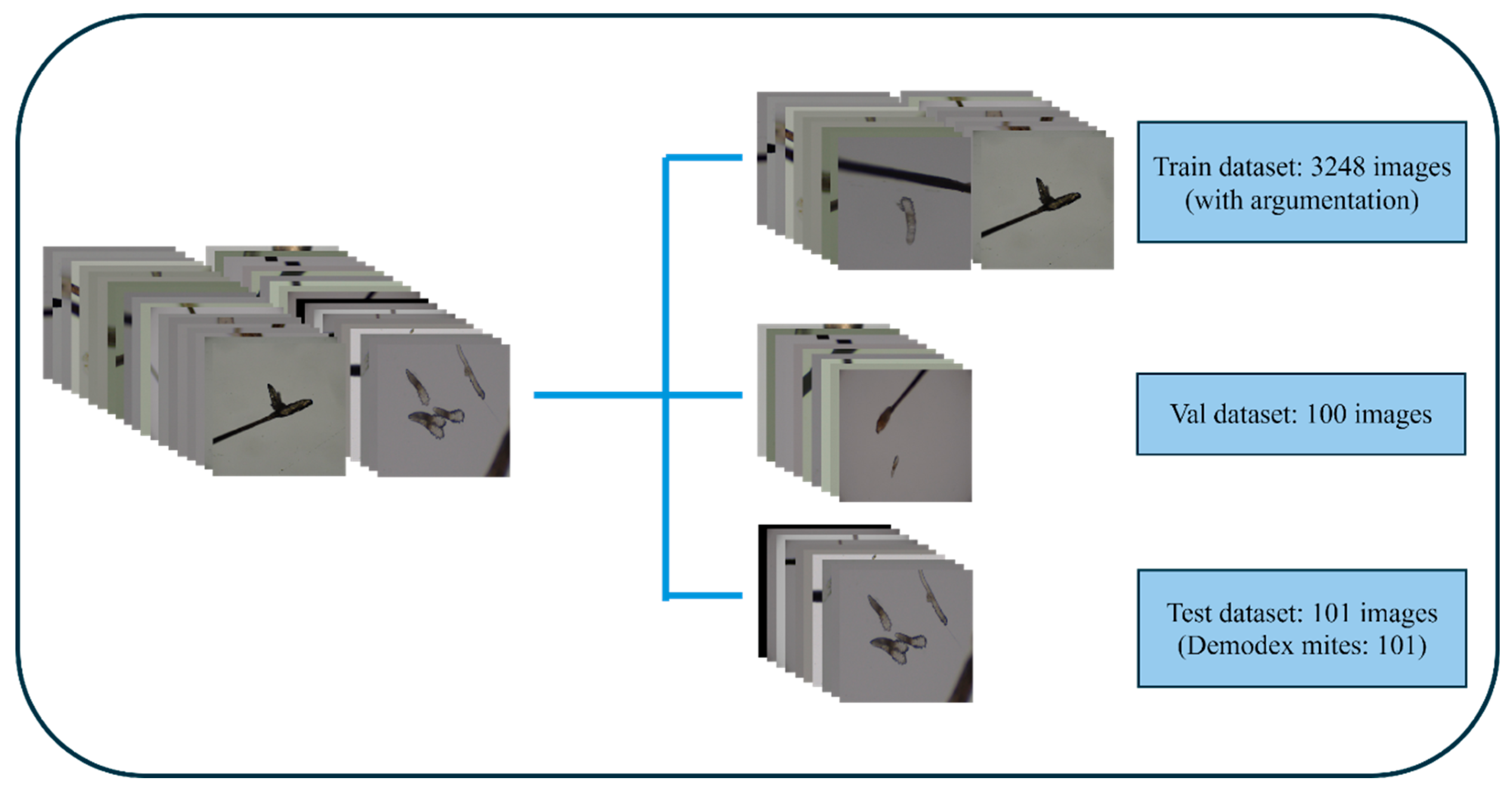 Diagnostics 15 03204 g004