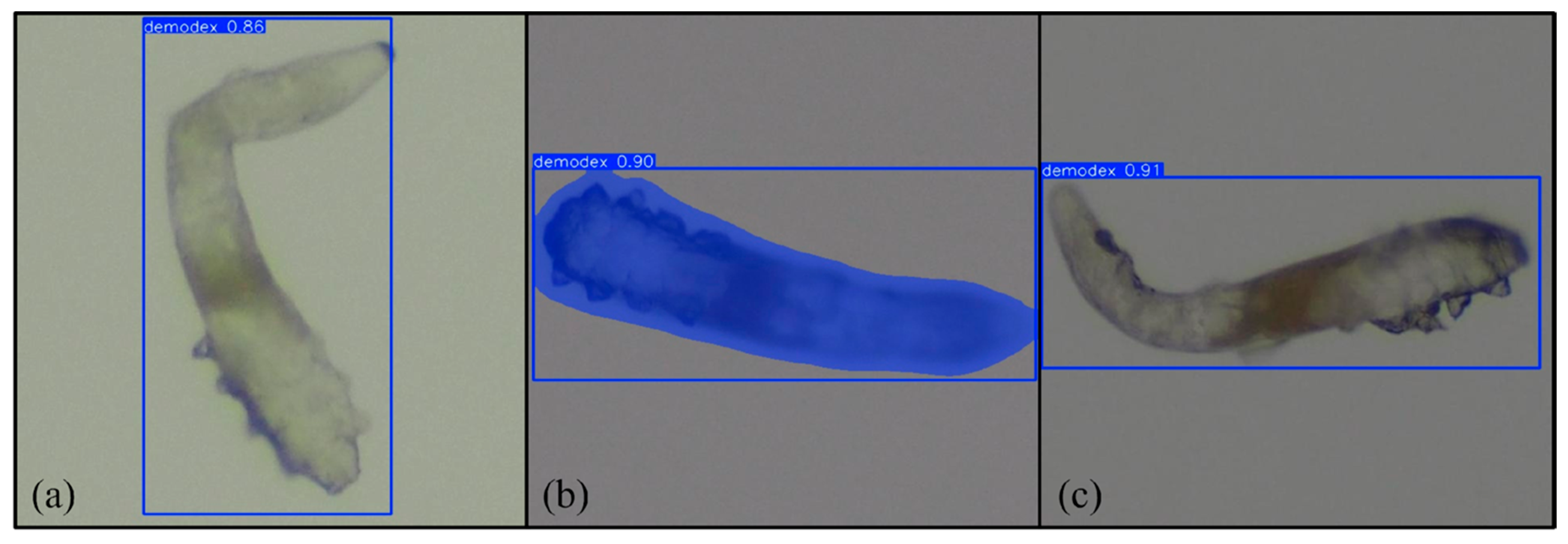 Diagnostics 15 03204 g009