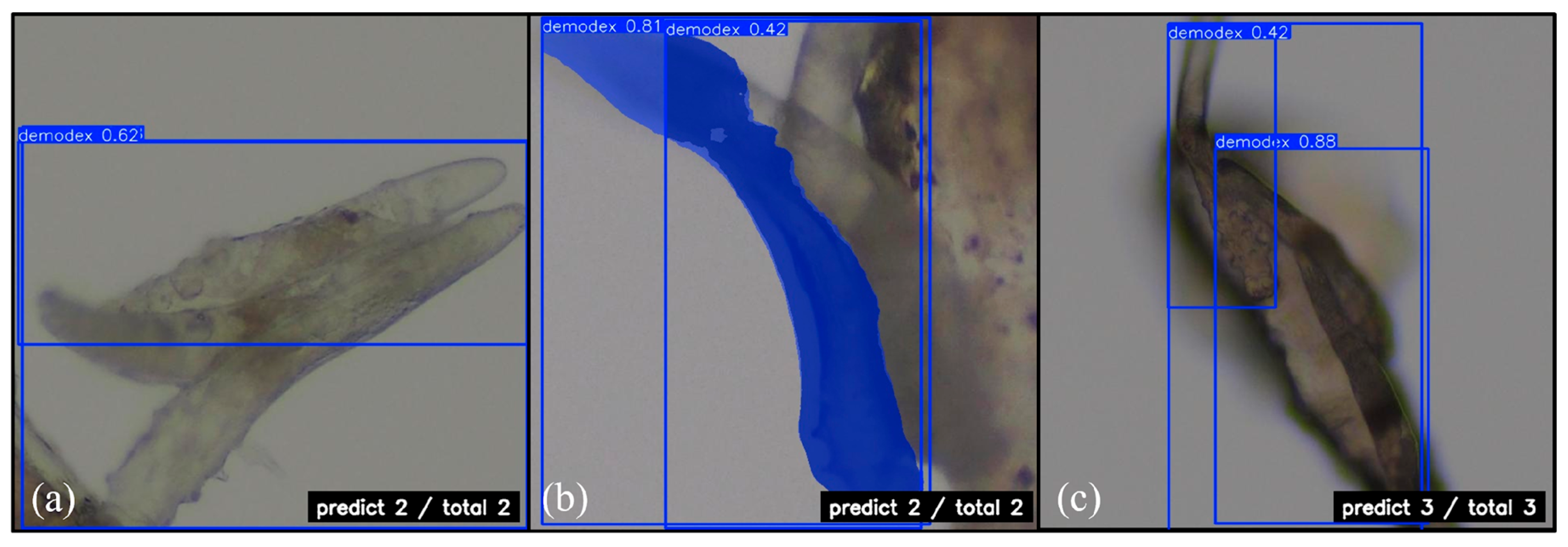 Diagnostics 15 03204 g011