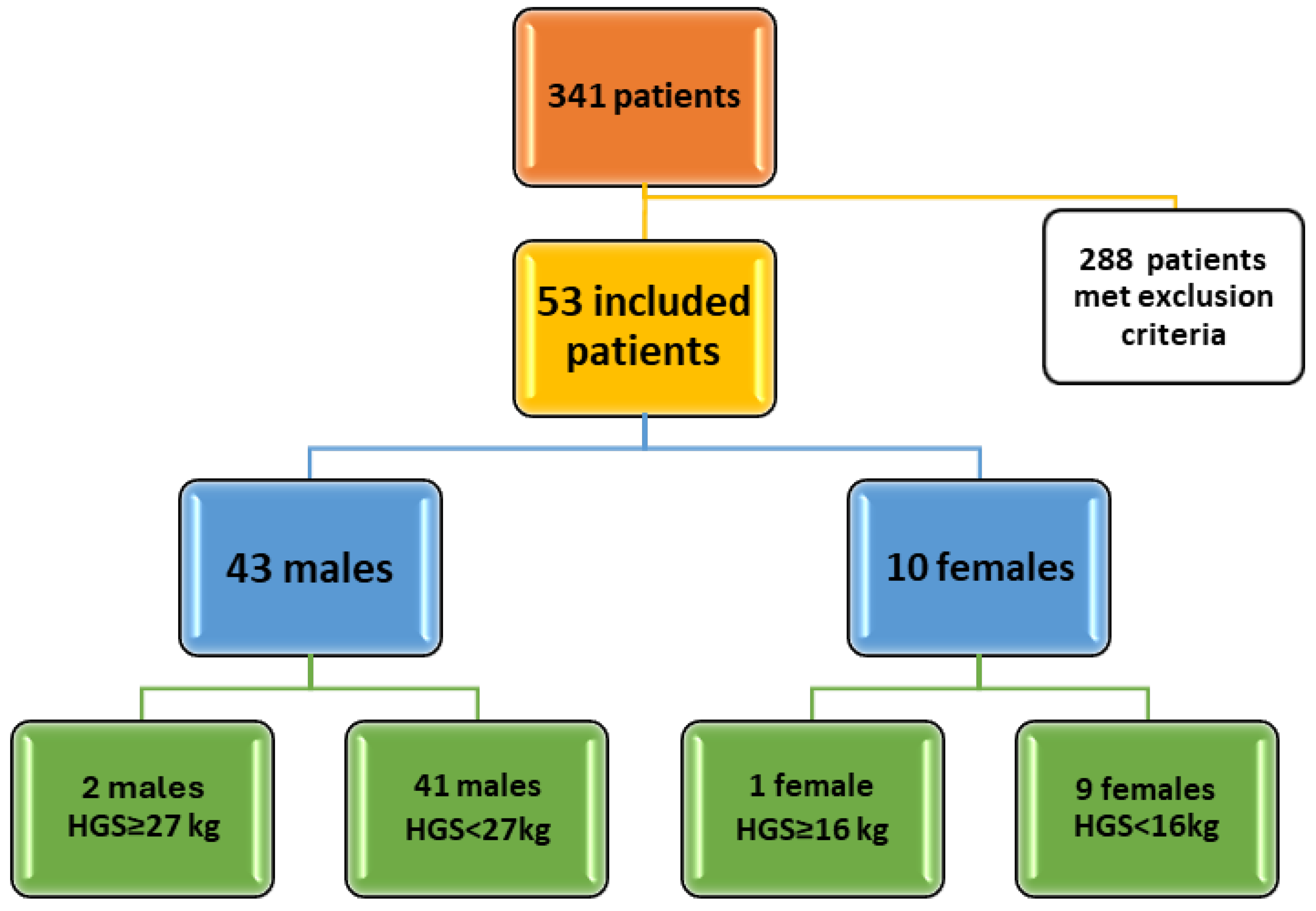 Diagnostics 15 03206 g001