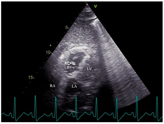 Diagnostics 15 03214 g001